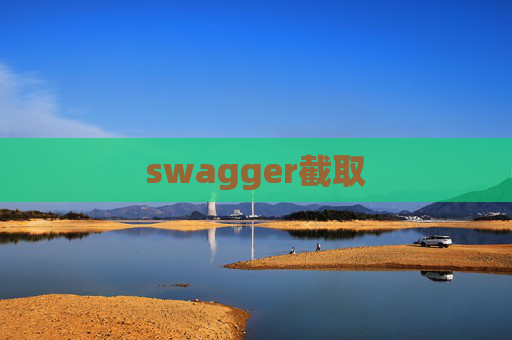 swagger截取